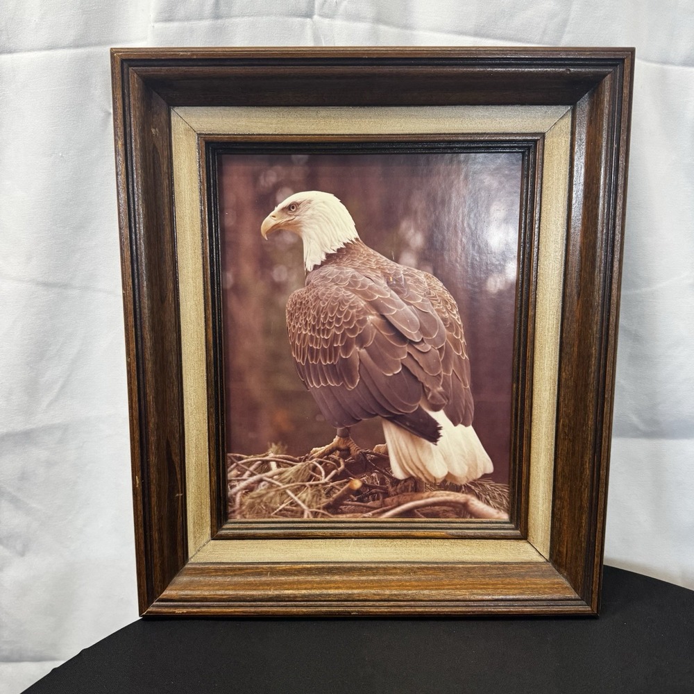 Vintage 12x14 Eagle Print In Wood‎ Frame